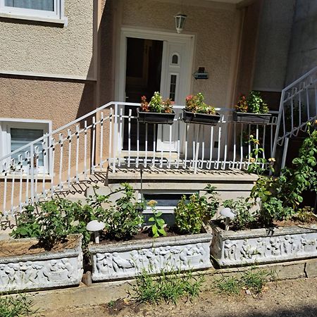 Apartment Gajic 베오그라드 외부 사진